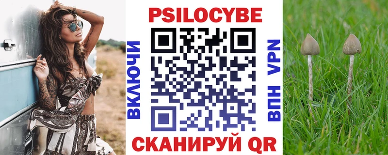 Купить  Волхов  Псилоцибиновые грибы ЛСД 