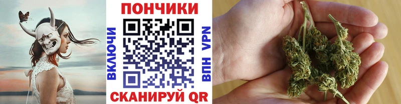Купить где  Волхов  Бошки Шишки план 